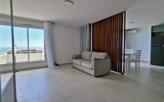 Grand studio, de 38m² habitable, meublé avec goût à louer sur Montgaillard !