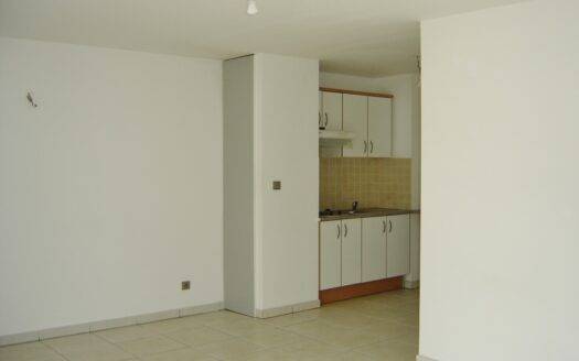 Grand F2 de 47m² avec varangue et vue montagne