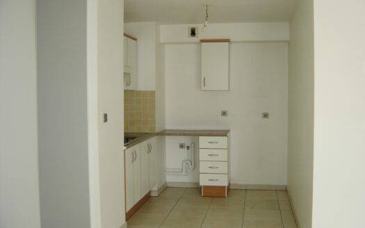 Grand F2 de 47m² avec varangue et vue montagne