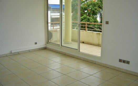 Grand F2 de 47m² avec varangue et vue montagne