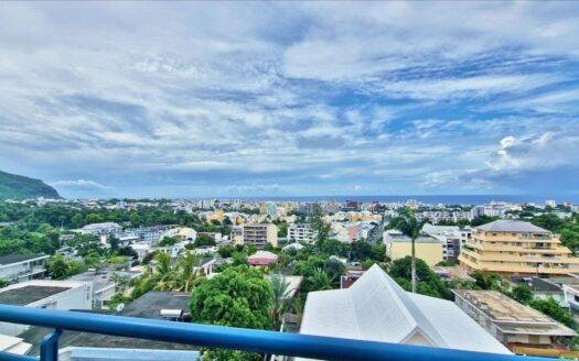 Beau F2 avec vue panoramique mer sans vis à vis
F2 avec vue panoramique mer à La Providence